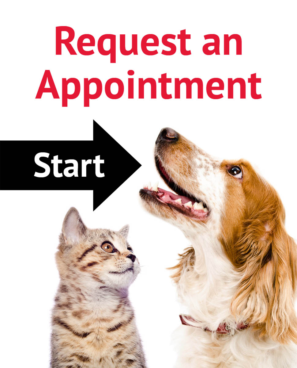 Request an Appointment at Troy Veterinary Clinic in Troy, IL