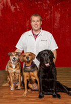 David Mears, DVM, is a Veterinarian at the Troy IL Veterinary Clinic